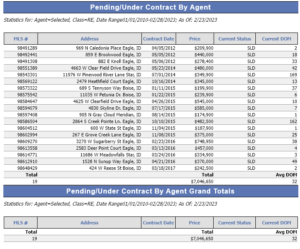 Sample Pending/Under Contract Report